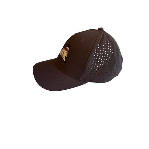 Virginia State Shape Gray Perforated Snapback Hat Local Crown Souvenir Travel - Picture 2 of 6